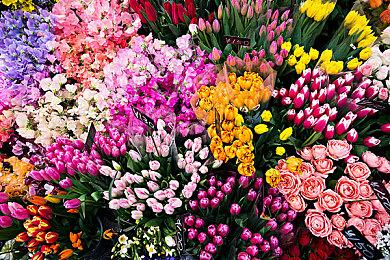 《极品飞车22》下周推出大型更新 改进CPU性能