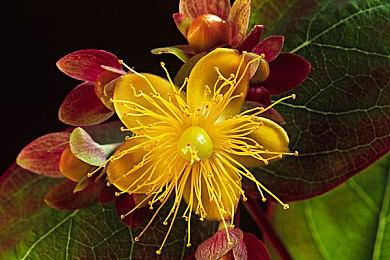 《雪地奔驰》第七季现已推出，游戏PS5和Xbox Series版本也同步上市！